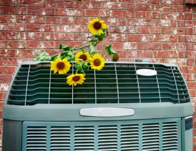 AC compressor with sunflowers sitting on top of it